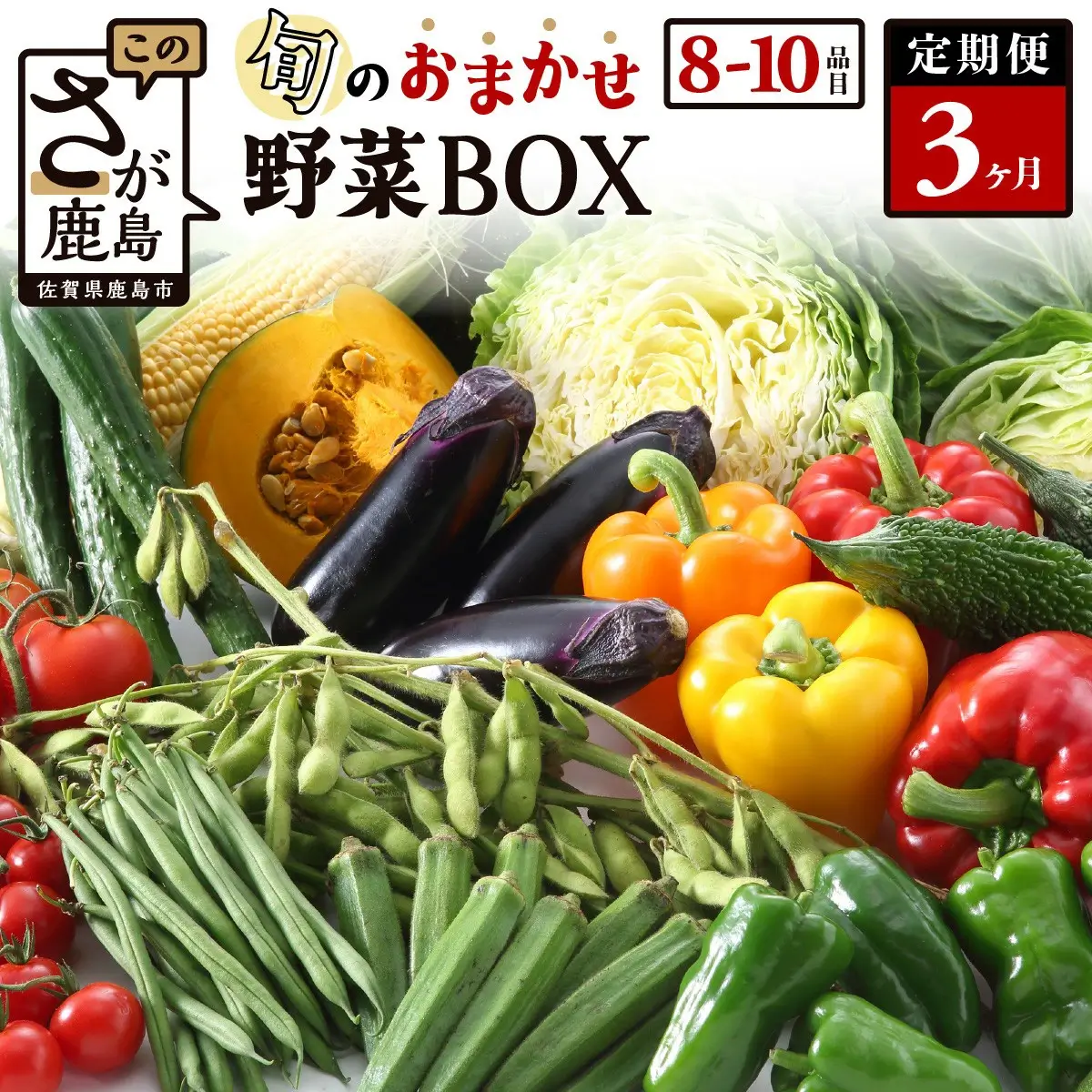 【定期便】野菜 新鮮 直送 セット お楽しみ 3回 大容量 8～10品目 