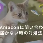 今すぐAmazonに問い合わせて！商品が届かない時の対処法