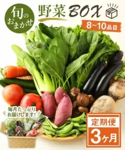 旬のおまかせ野菜BOX 旬 おまかせ 野菜 セット 詰め合わせ