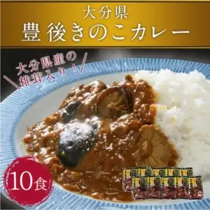 豊後 きのこ カレー 10食