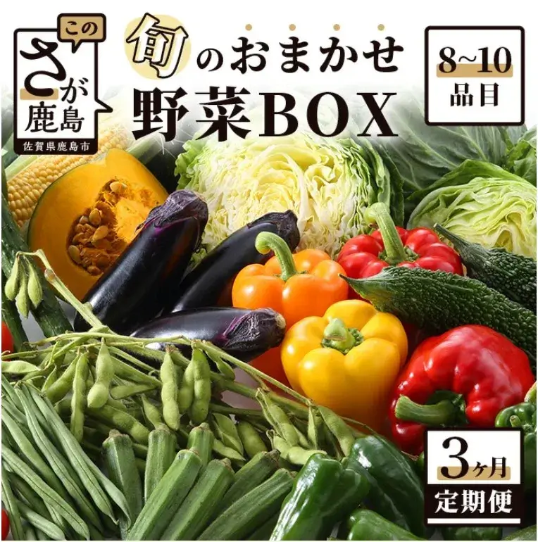 旬のおまかせ野菜BOX 旬 おまかせ 野菜 セット 詰め合わせ 3回 毎月 3ヶ月 目安8～10品目